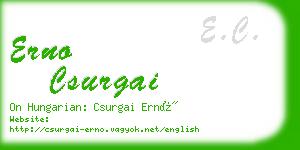 erno csurgai business card
